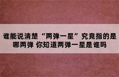 谁能说清楚“两弹一星”究竟指的是哪两弹 你知道两弹一星是谁吗